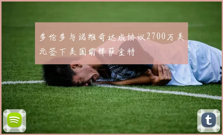 多伦多与诺维奇达成协议2700万美元签下美国前锋萨金特
