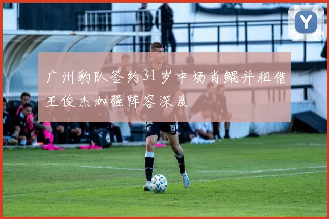 广州豹队签约31岁中场肖鲲并租借王俊杰加强阵容深度