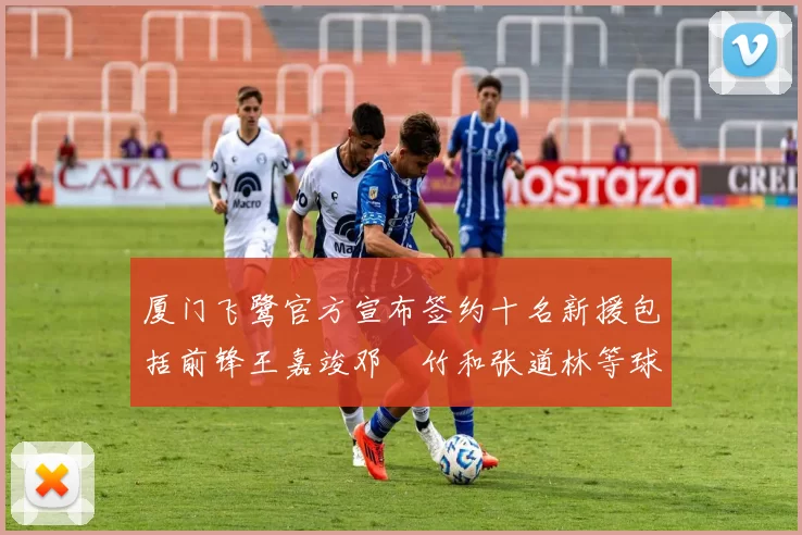 厦门飞鹭官方宣布签约十名新援包括前锋王嘉竣邓棽竹和张道林等球员